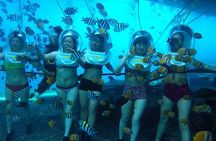 Bali Sea Walker Water Sport Nusadua