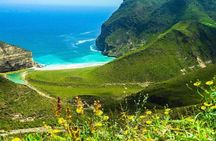 Salalah White Beaches & Panoramic Views of sea (Full Day Tour)
