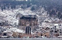 Private Half-Day Longmen Grottoes Walking Tour from Luoyang