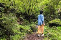 Salalah East Tour (Full Day Tour)