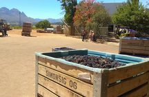 Wine Tour to Stellenbosch & Franschhoek with Tastings & Lunch