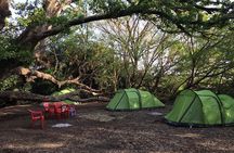  Amazing Chemka (Kikuletwa) Hot Spring Day Trip | BURIGI CHATO SAFARIS CO LTD 