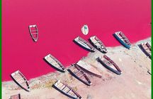  Gorée Island and Pink Lake Day
