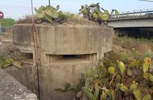 1943: the Battle of the Primosole Bridge