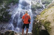 Coffee Tour La Victoria and waterfalls in Minca - Private Tour
