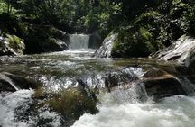Coffee Tour La Victoria and waterfalls in Minca - Private Tour