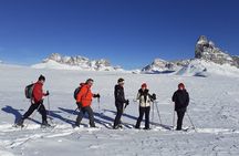 Dolomites Snowshoes Experience