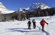 Dolomites Snowshoes Experience
