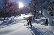 Dolomites Snowshoes Experience