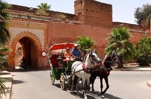 1-Hour Horse Carriage Drawn Marrakech City Tour