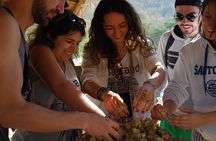 Chiang Mai Zipline White Water Rafting and Elephant Sanctuary
