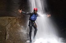 DG Tours - Full-Day Private Tour Experience