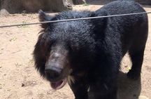 Tamao Mountain and Tonle Bati Private Day Trip from Phnom Penh