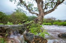 Salalah Mountain Safari Tour 2(Full Day Tour)