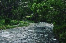 Salalah Mountain Safari Tour 2(Full Day Tour)
