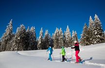 3-Hour Guided Snowshoeing Adventure in the Slovenian Alps
