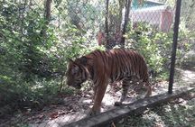 Tamao Mountain and Tonle Bati Private Day Trip from Phnom Penh