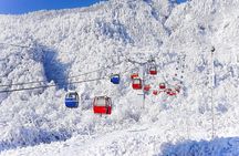 Private Day Tour to Xiling Snow Mountain 
