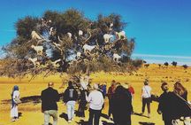 Essaouira Full-Day Tour from Marrakech with Hotel Pick Up