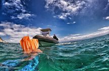 Swim with Seals