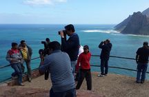 Private Tour: Cape Town City and Table Mountain from Cape Town