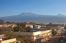 Full-Day Moshi Private Forest Walk and Local Market Tour