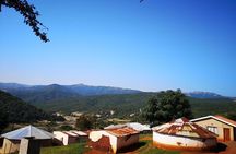Zulu Cultural Experience: Zulu Village + Tribal Markets + Traditional Zulu Food