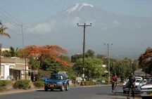 Full-Day Moshi Private Forest Walk and Local Market Tour