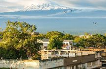 Full-Day Moshi Private Forest Walk and Local Market Tour
