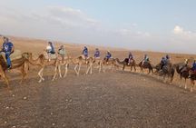 Atlas Mountains And Camel Ride Day Trip From Marrakech