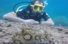 Scuba Diving Experience in Taormina 