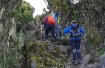 7-Day Kilimanjaro Climb–Lemosho R. Scenic Adventure to the summit