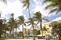 Miami City Tour and Biscayne Bay Cruise with Hotel Transportation