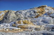 Yellowstone National Park - PRIVATE Upper Loop Tour from West Yellowstone