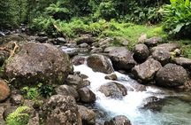 Small-Group Tour: Unmissable Martinique with St Pierre and More