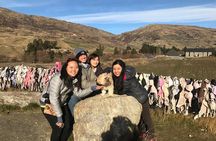 Arrowtown and Wanaka Highlights Tour from Queenstown