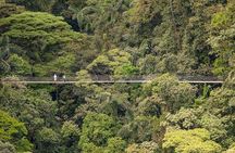 Arenal Hanging Bridges, Guided Walk, Hot Springs Optional