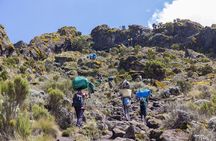 7-Day Kilimanjaro Climb Machame Route–The Best Path to Uhuru Peak