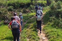 Luxury Changu Nagarkot Hike with Overnight Stay & Bhaktapur Tour