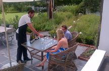 Private Half DayTour:Cape Winelands, Stellenbosch from Cape Town
