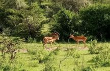 5-Day Crescent Island, Hell’S Gate, Naivasha, Amboseli National Park