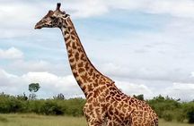 5-Day Crescent Island, Hell’S Gate, Naivasha, Amboseli National Park