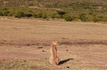 7-Day Samburu, Maasai Mara, L Nakuru, Lake Naivasha Hell's Gate