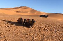 3-Day Tour from Marrakech to Fes with Desert Break