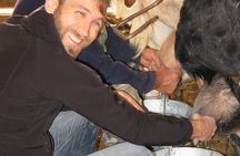 Troodos Mountains Halloumi Making: All Inclusive Workshop & Tour