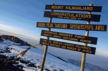 Private 7-Day Kilimanjaro Climb via Rongai Route 