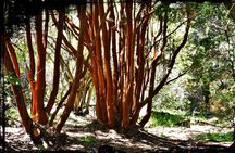 10 Secrets of Bariloche, Nahuel Huapi, and Patagonia