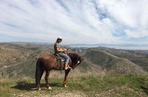 2 Hour Wildflower Horseback Trail Ride experience in Agoura Hills