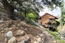 2 Hour Wildflower Horseback Trail Ride experience in Agoura Hills