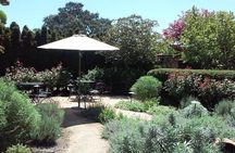 2 Hour Wildflower Horseback Trail Ride experience in Agoura Hills